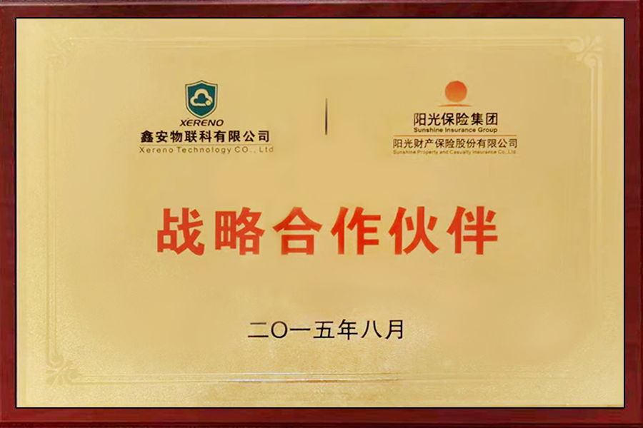 战略合作