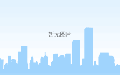 车辆进出管理系统